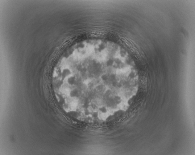 X0000115440817200912161452