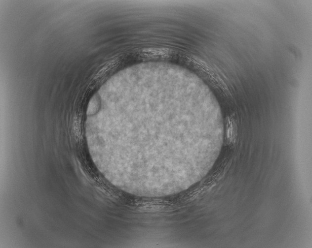 X0000115440819200912161452