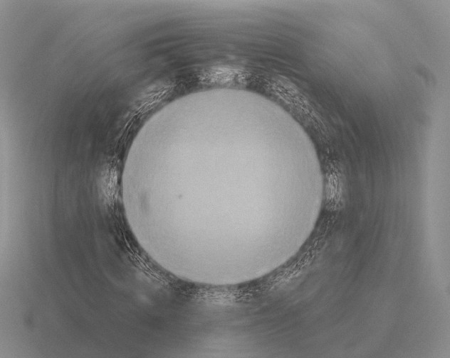 X0000115440820200912161452