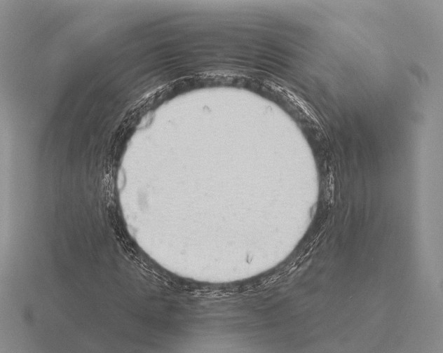 X0000115440821200912161452