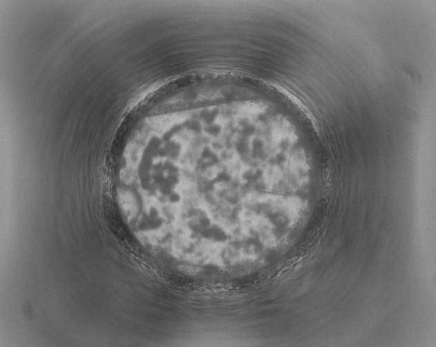 X0000115440823200912161452