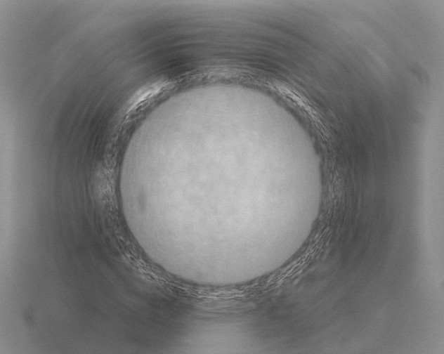 X0000115440824200912161452