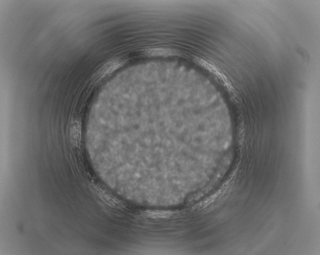 X0000115440825200912161452