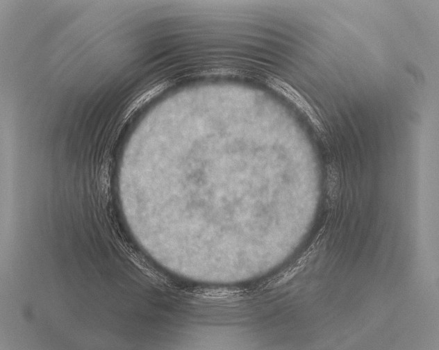 X0000115440826200912161452