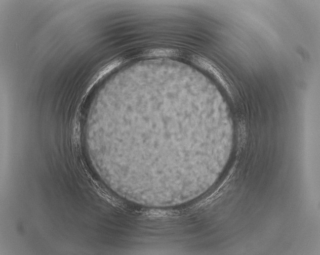 X0000115440827200912161452