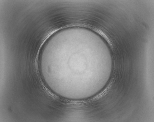 X0000115440828200912161452