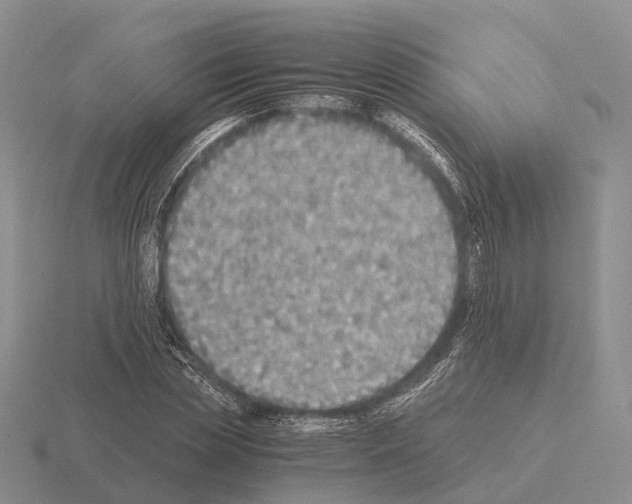 X0000115440829200912161452