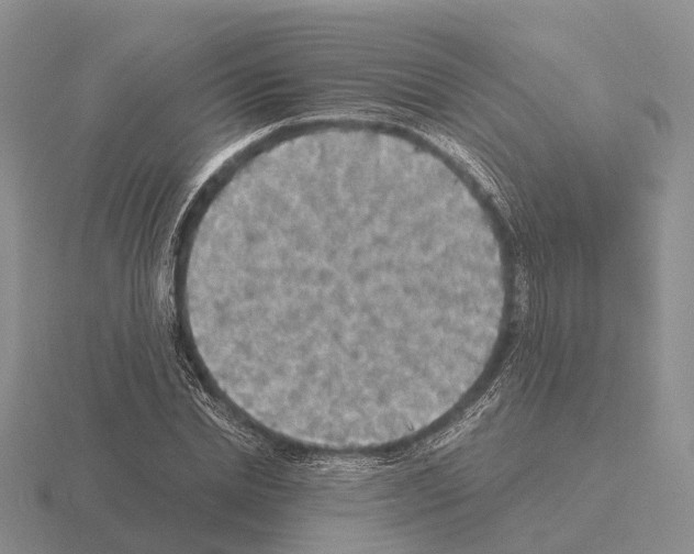 X0000115440830200912161452