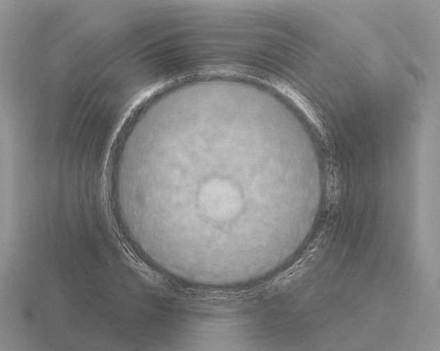 X0000115440832200912161453