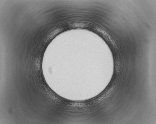 X0000115440833200912161453