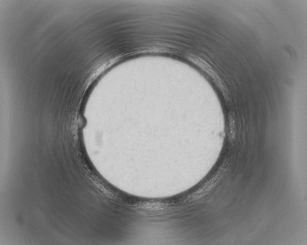 X0000115440834200912161453