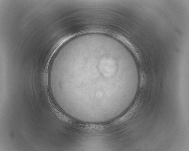 X0000115440836200912161453