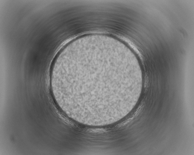 X0000115440837200912161453