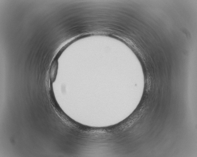 X0000115440838200912161453