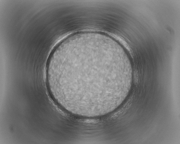 X0000115440839200912161453