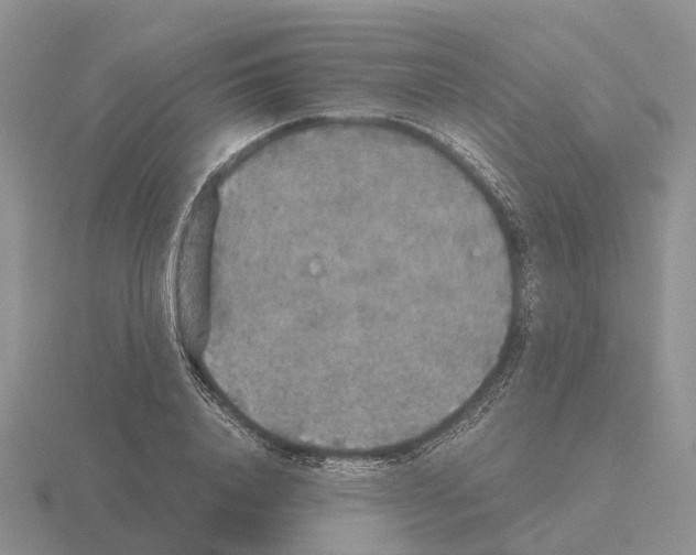 X0000115440840200912161453