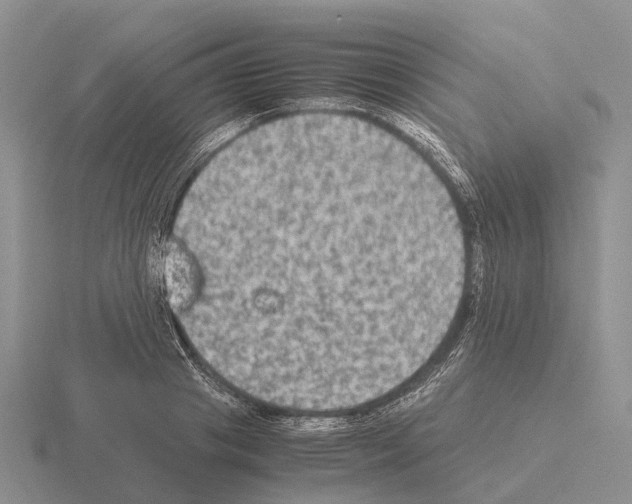 X0000115440841200912161453