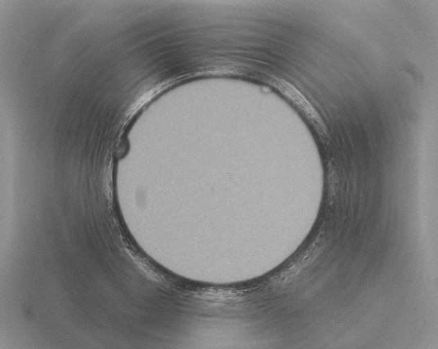 X0000115440842200912161453