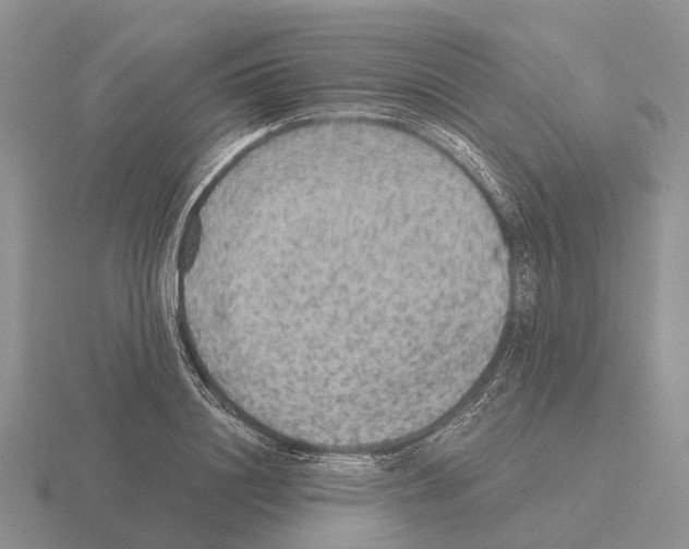 X0000115440844200912161453