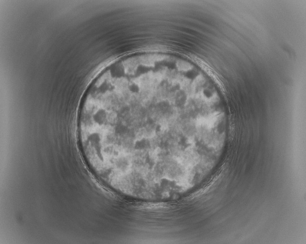 X0000115440845200912161453