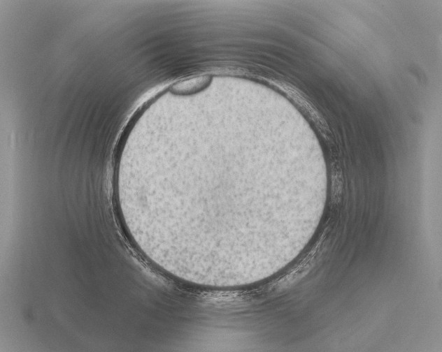 X0000115440846200912161453