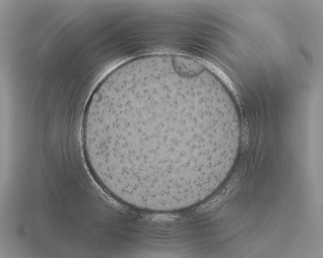 X0000115440847200912161453