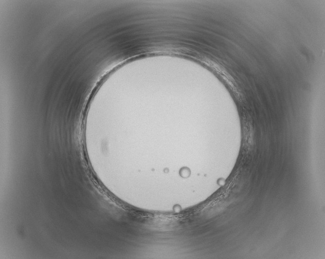 X0000115440848200912161453