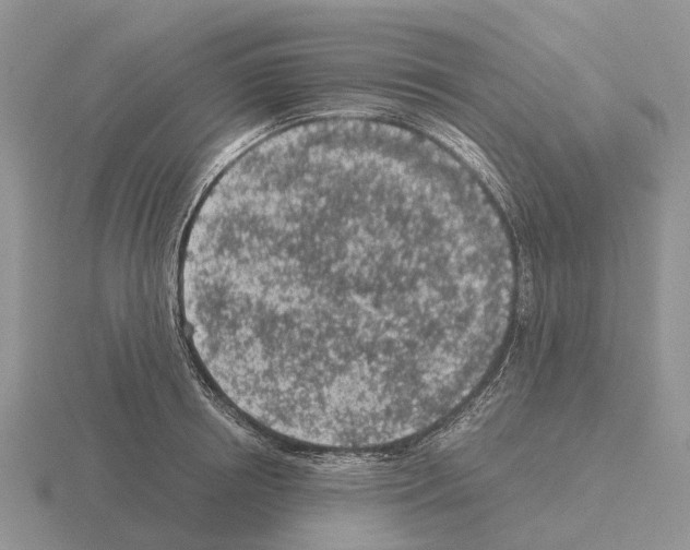 X0000115440850200912161453