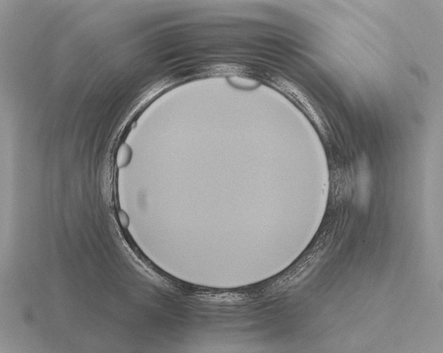 X0000115440851200912161453