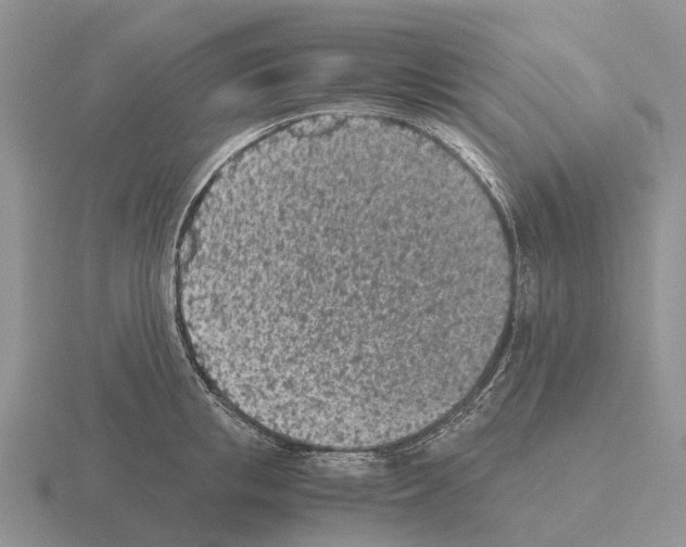 X0000115440853200912161453