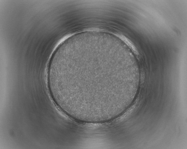 X0000115440854200912161453