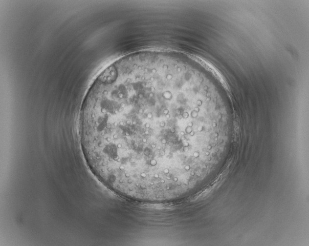 X0000115440855200912161453