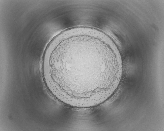 X0000115440856200912161453