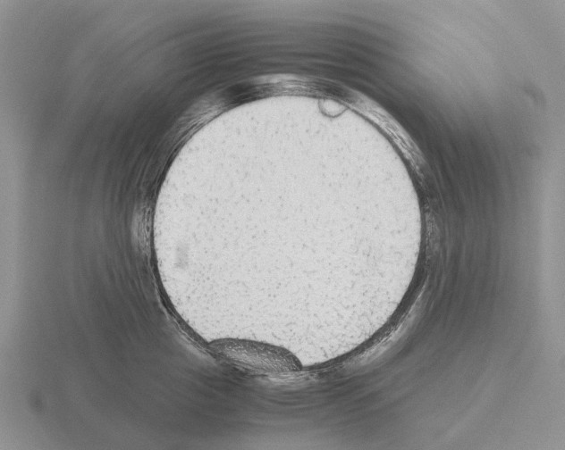 X0000115440857200912161453