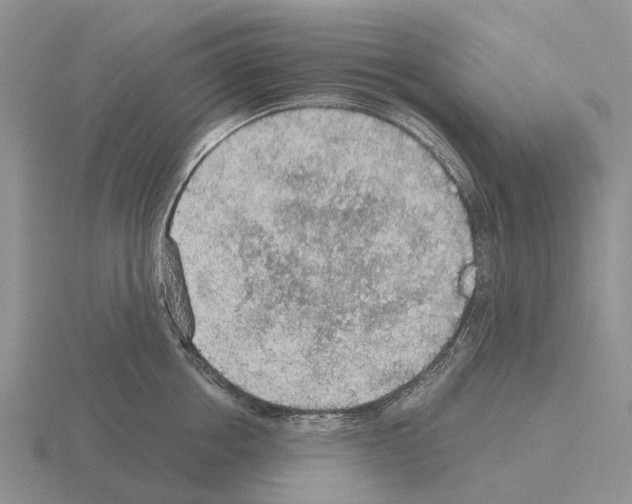 X0000115440858200912161453