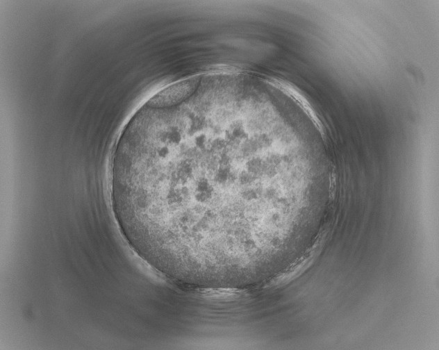 X0000115440859200912161453