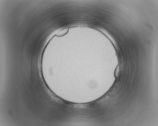 X0000115440861200912161453