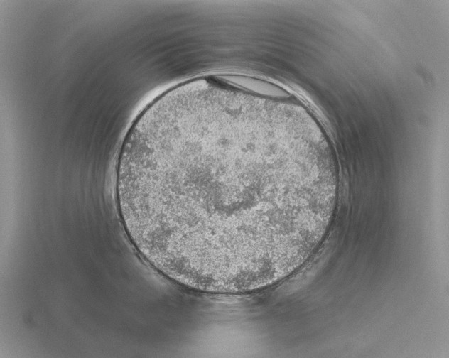 X0000115440862200912161453