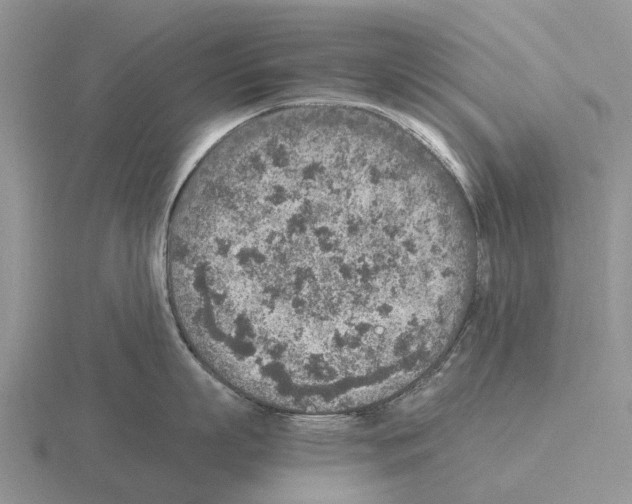 X0000115440863200912161453