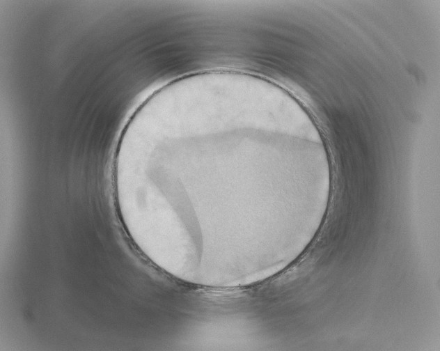 X0000115440864200912161453