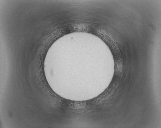 X0000115440865200912161452