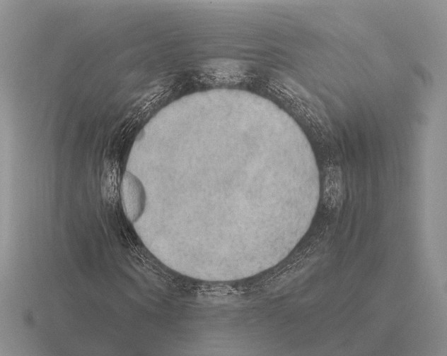 X0000115440866200912161452