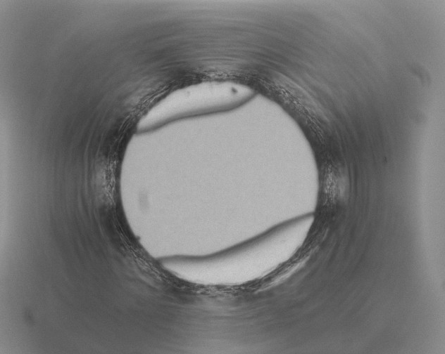 X0000115440868200912161452