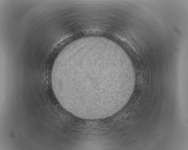 X0000115440870200912161452