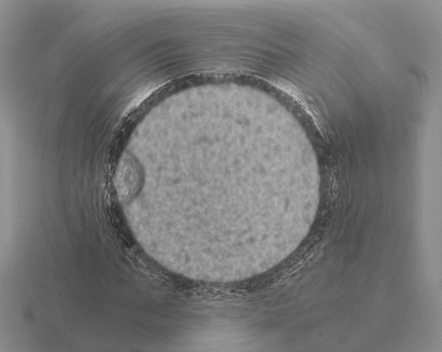 X0000115440871200912161452