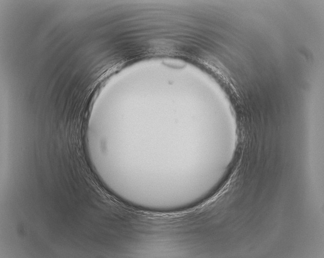 X0000115440873200912161452