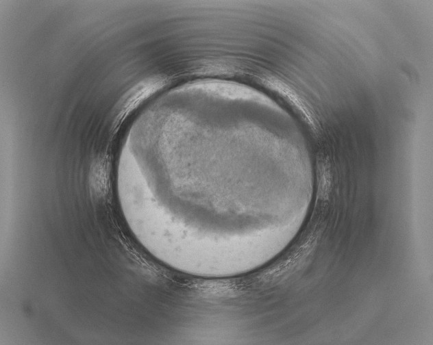 X0000115440874200912161452