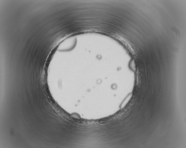 X0000115440876200912161452