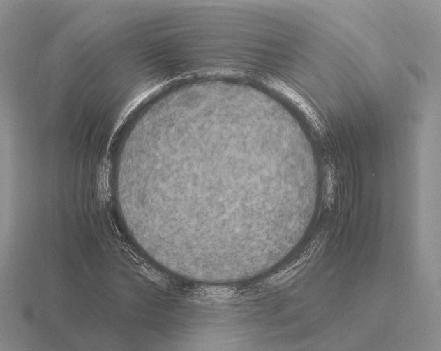 X0000115440878200912161452