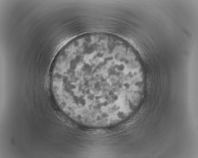 X0000115440879200912161452